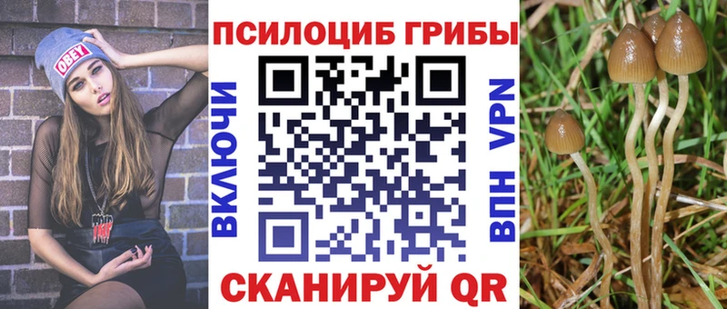 дарнет шоп  kraken маркетплейс  Псилоцибиновые грибы мухоморы  Рославль 