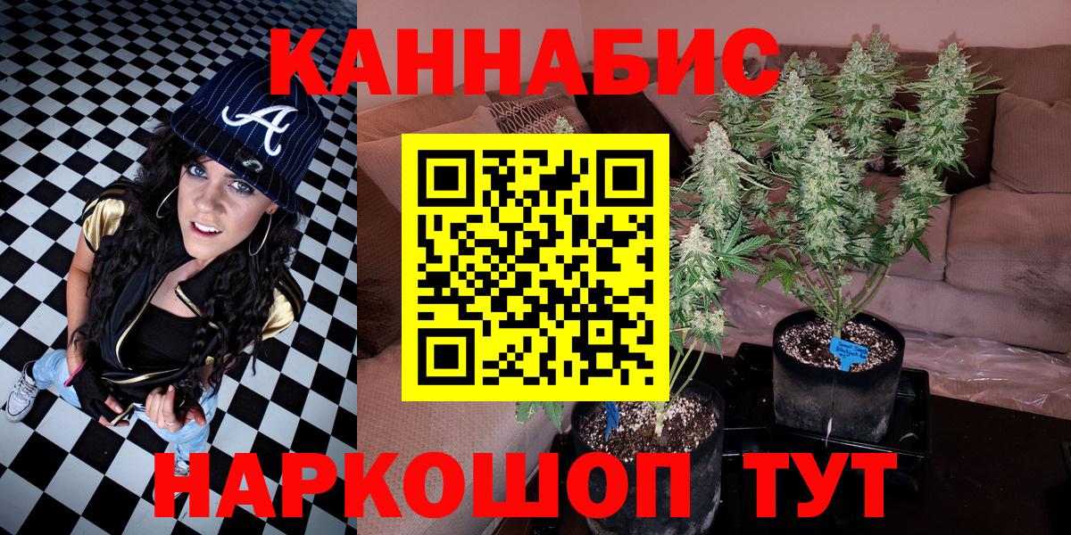 Шишки марихуана планчик Рославль